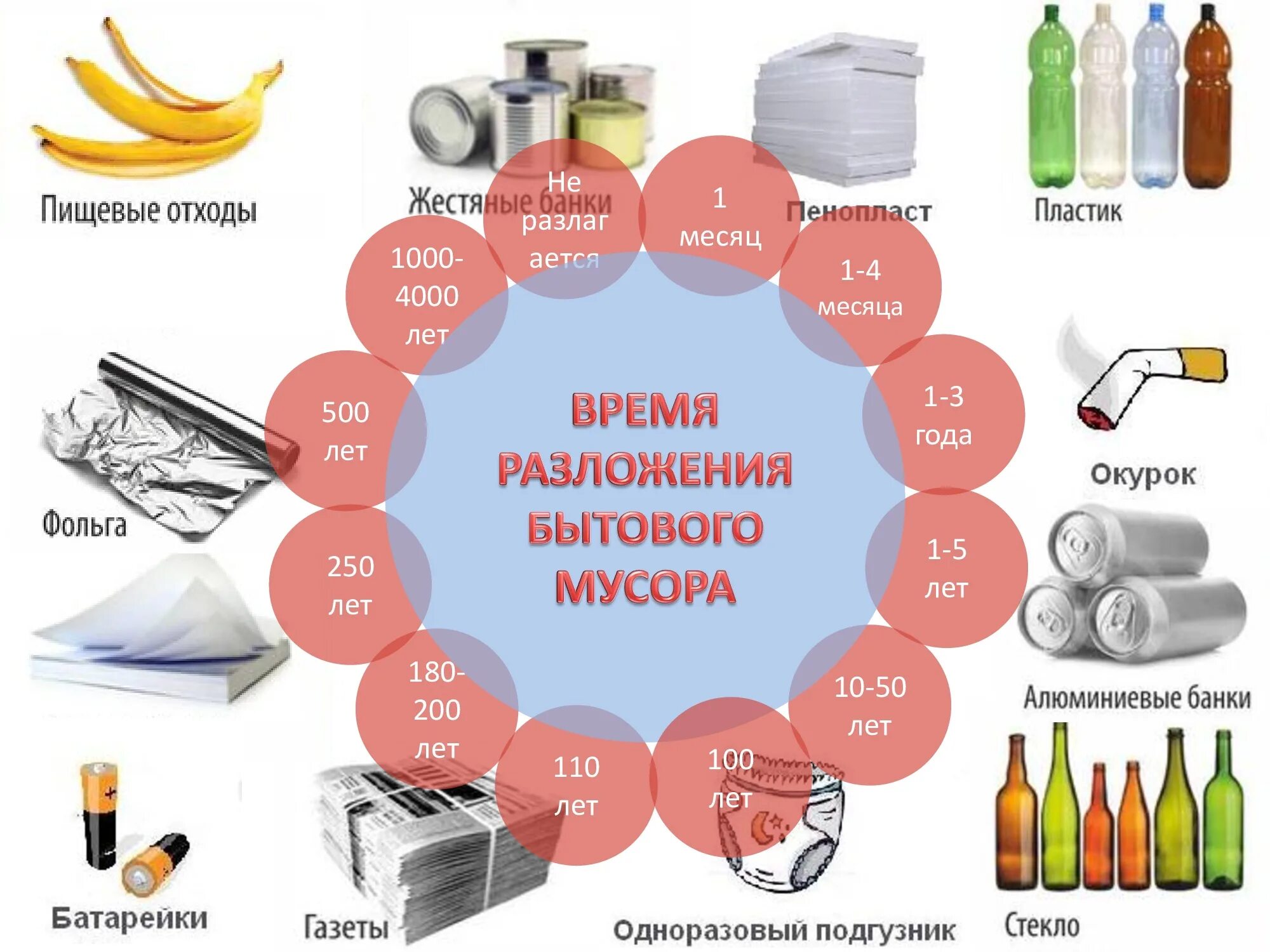 Сколько разлагается бутылка. Период разлагания мусора. Сроки разложения отходов. Сроки разложения различных видов мусора.. Мусор разлагается.