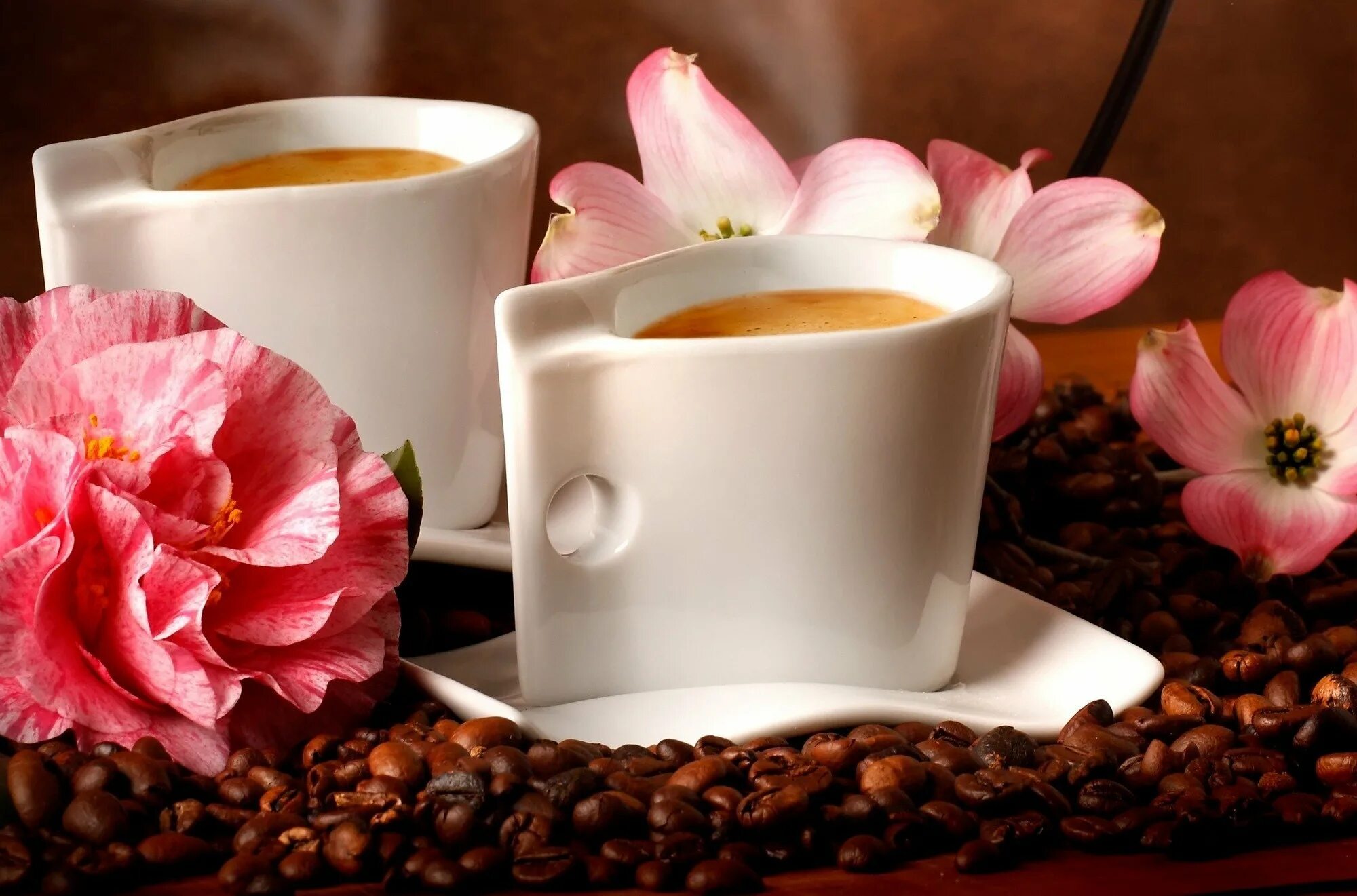 Утро картинки красивые. Кофе и цветы. Доброе утро кофе. Чашка кофе и цветы. Кофе с цветами.