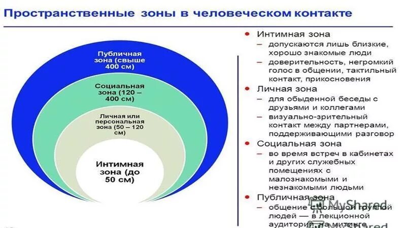 Неофициальный совещательный орган круг личных друзей