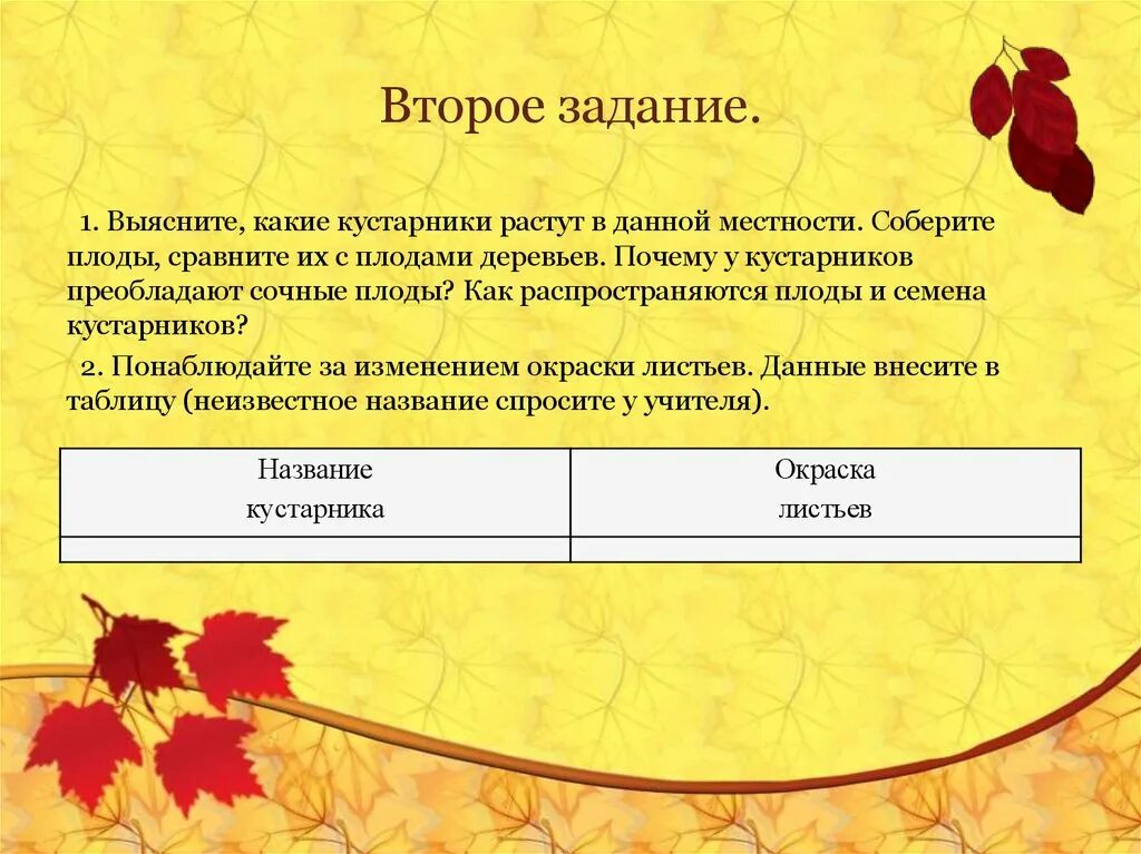 Изменение окраски листьев. Осенние явления в жизни деревьев и кустарников. Изменение окраски листьев у древесных растений. Изменение окраски листьев осенью.