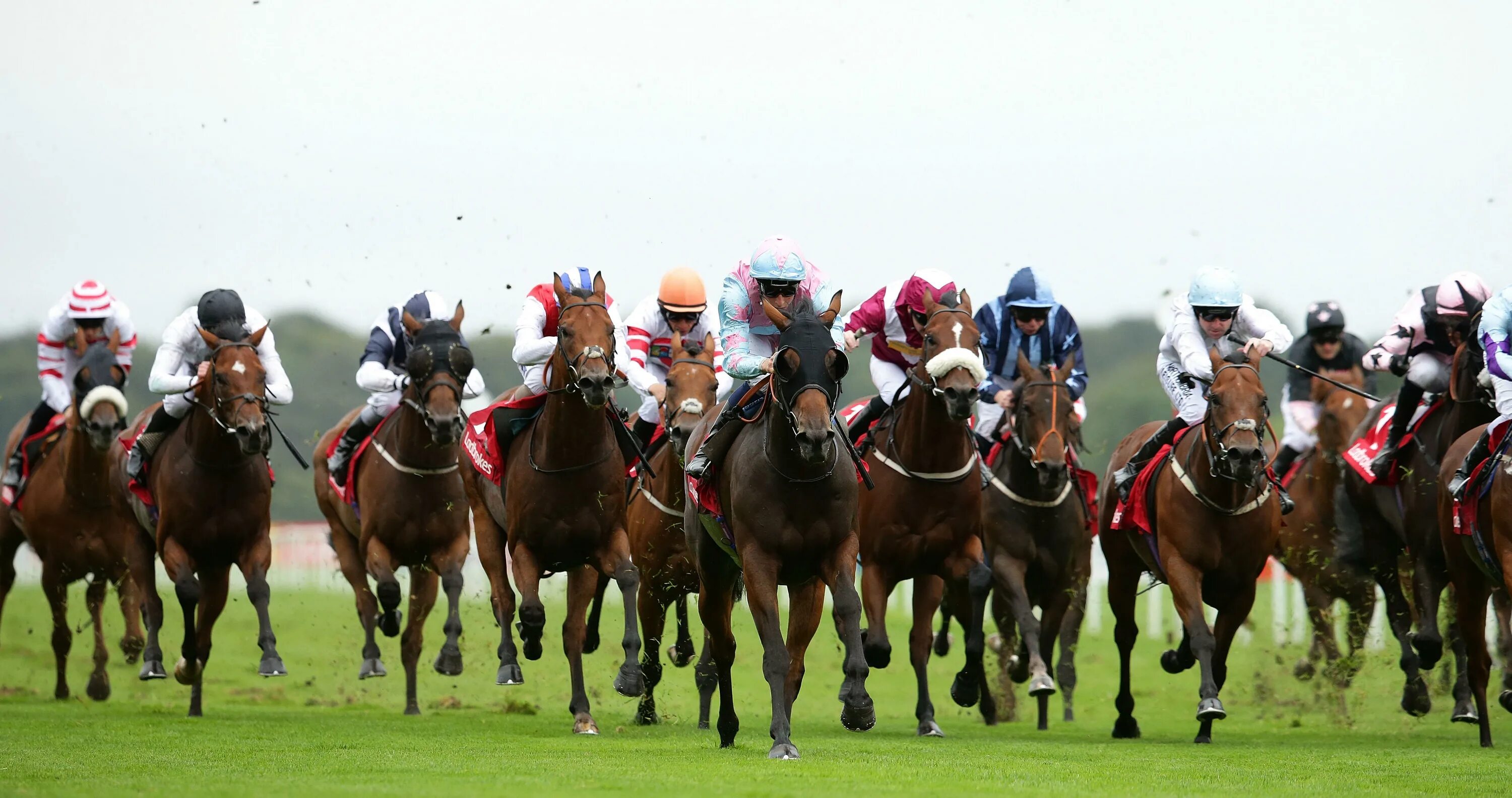 Гонка на лошадях. Стипль-чез конный спорт. Тг скачки. Скачки в ирландии. Конные скачки фон.
