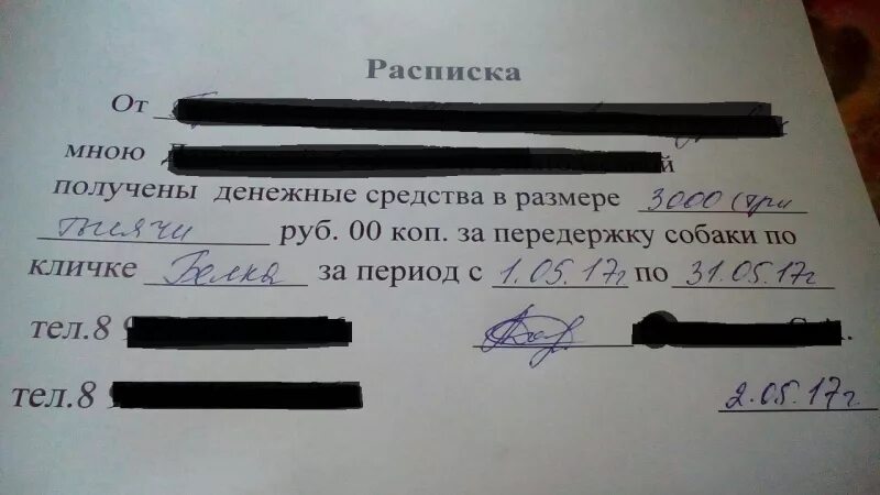 Расписка при продаже животных. Расписка на покупку животных. Расписка о продаже телёнка. Расписка на собаку.