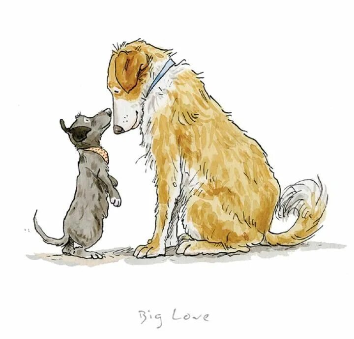 Anita Jeram. Играющие собаки Ушинский. Две собаки иллюстрация. Зарисовка играющие собаки.
