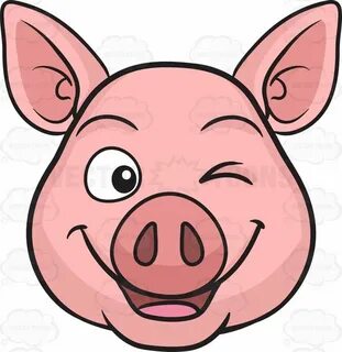 Angry pig