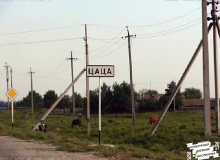 Цаца 4