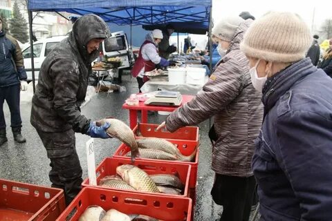Сельхоз ярмарка ульяновск