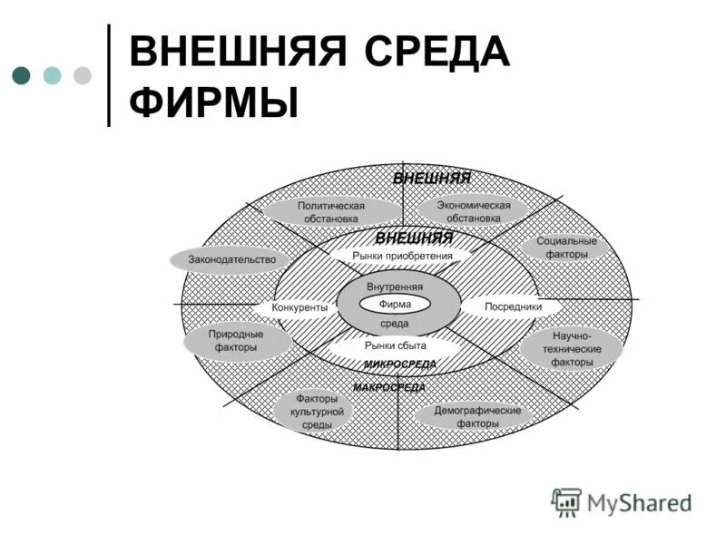 Деятельность организации и ее внешняя среда