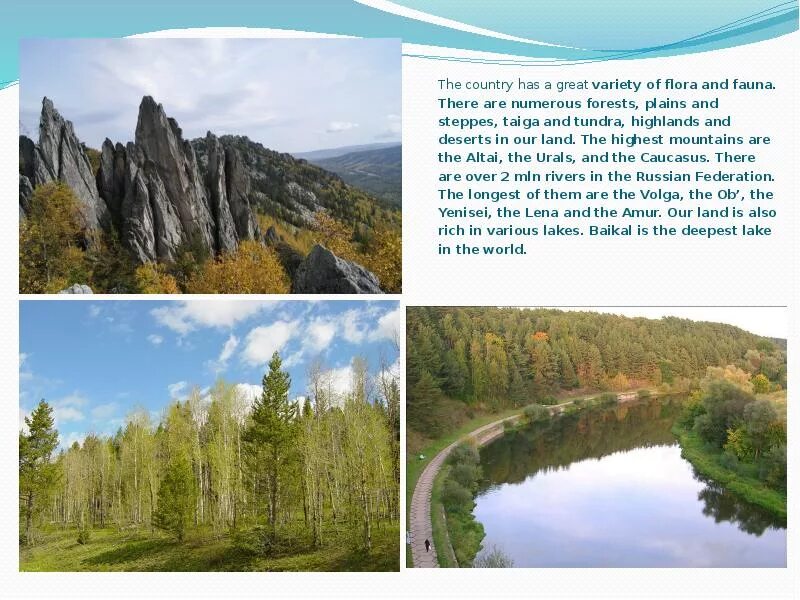 More and with a greater. Urals montane tundra and taiga. тундра тайга степь пустыня. a variety of taiga flora.
