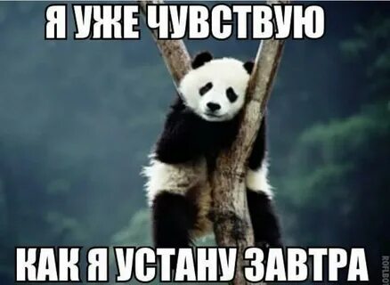 Завтра когда будете приезжать