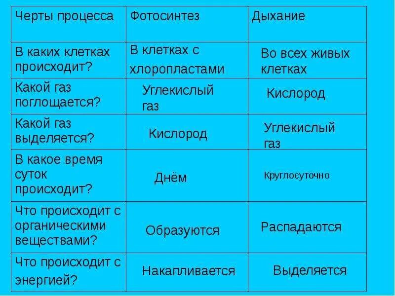 Дыхание происходит во всех живых клетках. Дыхание по биологии 6 класс. Дыхание растений и животных 6 класс биология. Органы дыхания растений. Дыхание растений 6 класс биология.