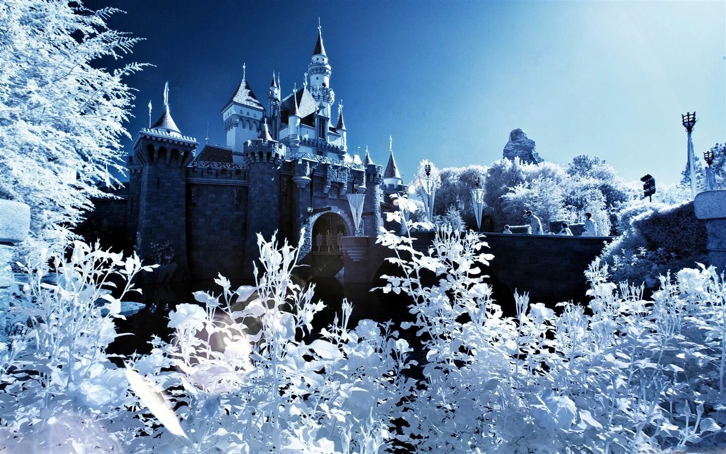 Игра frozen castle. Замок снежной королевы Нойшванштайн. Замок Нойшванштайн Диснейленд. Sleeping Beauty Castle Диснейленд. Сказочный дворец зимой.