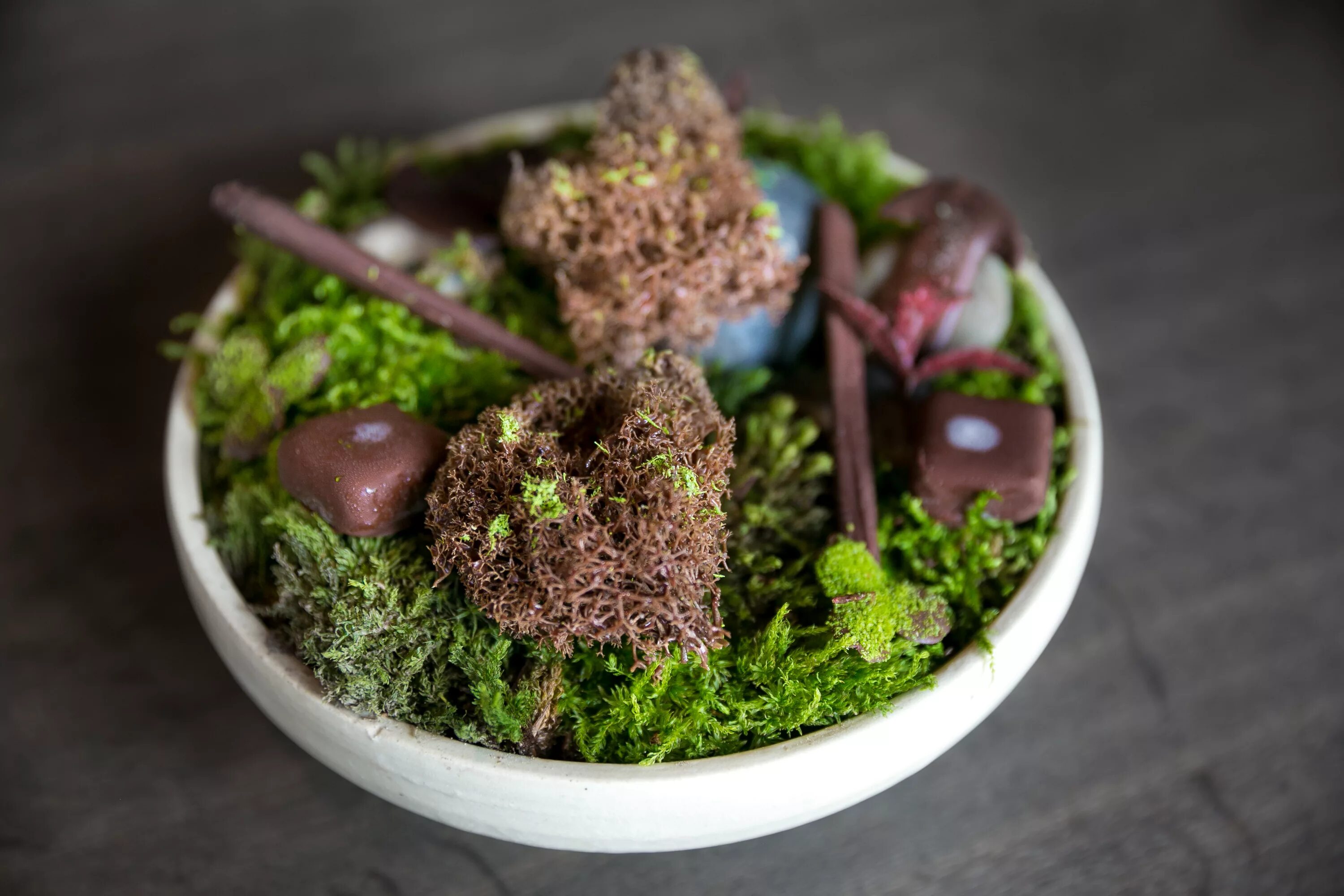 Noma ресторан блюда. Noma ресторан блюдо мох. Moss with Chocolate. Mushroom Chocolate. M rad