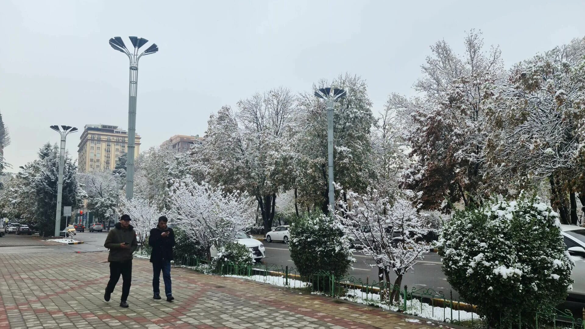 Точный прогноз на неделю в душанбе. Зима в душанбе. душанбе зимой. таджикистан в ноябре. душанбе в декабре на улице.