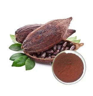 Экстракт какао
