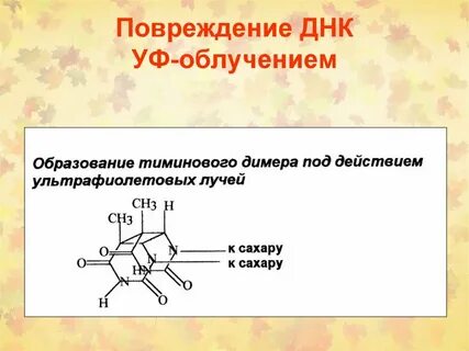 Поломка гена
