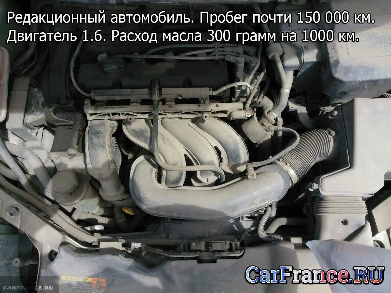 Ford focus 2 сколько масла. Масло в двигатель форд фокус 2 1.6. форд фокус 1.6 объем масла в двигателе. объем масла в двс форд фокус 1.6. сколько заливать масла в двигатель форд фокус 2 1.6 100 л.с.