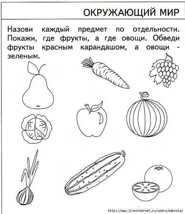 Задания для дошкольников. Овощи фрукты задания для дошкольников. Овощи задания для дошкольников. Задание для дошколят по окружающему миру. Задание для средней группы детского сада