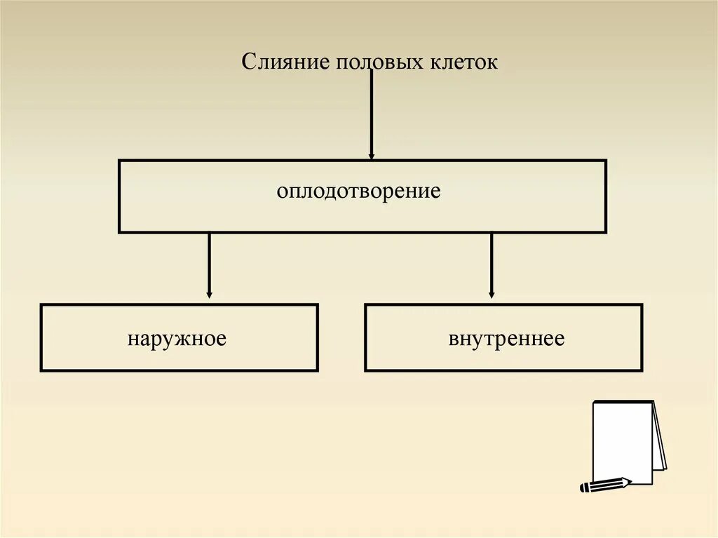 Способы размножения животных оплодотворение. Способы размножения животных. схема размножения животных. способы размножения животных схема. схема способы размножения животных 7 класс.