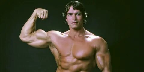 Шварценеггер х