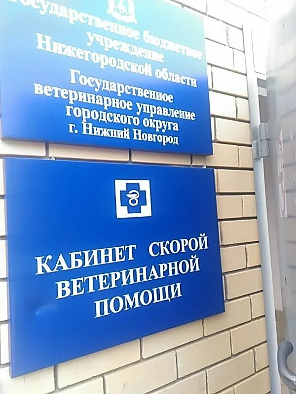 работа нижний новгород ветеринарный. ветеринарная клиника улица углова 1б. ветеринарная 4 нижний новгород. друг невинномысск ветклиника.