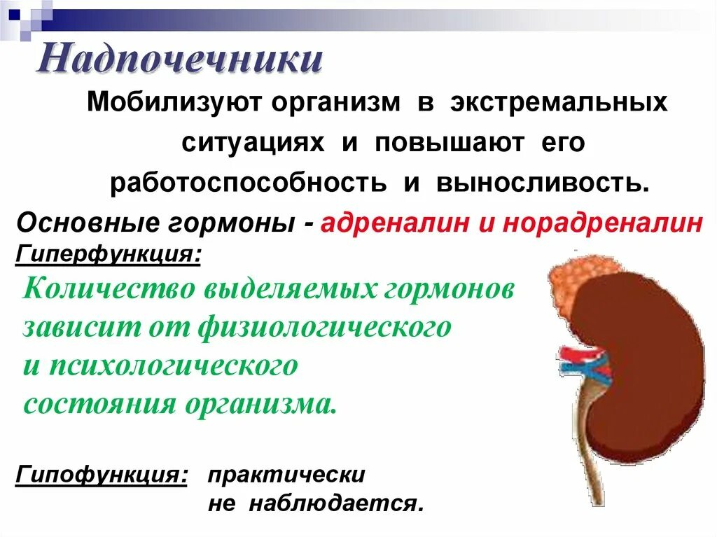 Гипофункция надпочечников адреналин. Гиперфункция надпочечников адреналин. Нарушения при гипофункции надпочечников. Надпочечники функции. Гиперфункция мозгового вещества надпочечников