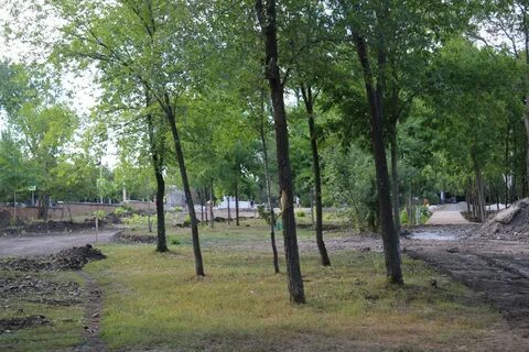 Парк молодежный фото