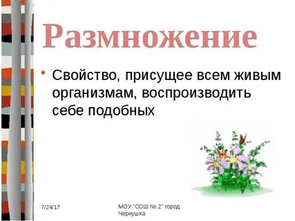 Общее свойство организмов это