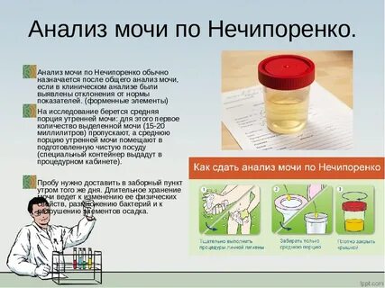 Объем мочи для анализа ребенка
