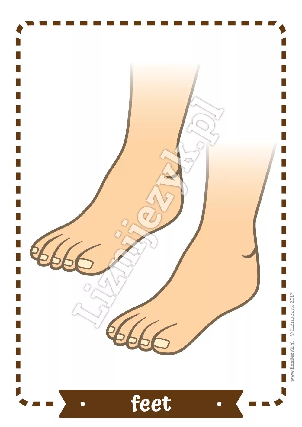 Части тела feet. Feet Flashcard. Feet Flashcards for Kids. Feet Flashcard for Kids. English feet