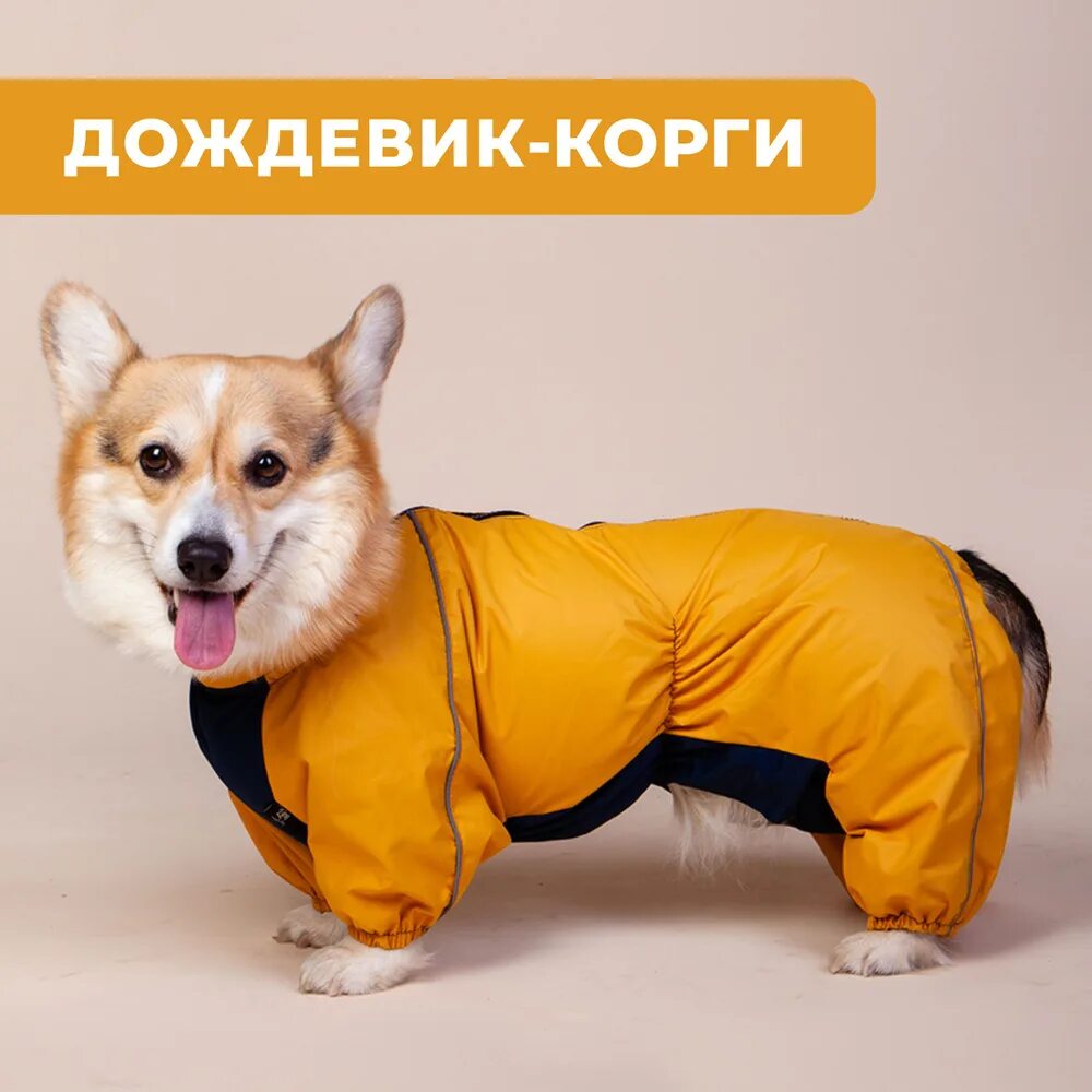 Дождевик для корги. Комбинезон-дождевик &quot;корги&quot;, 49см (gamma). gamma комбинезон-дождевик корги,.