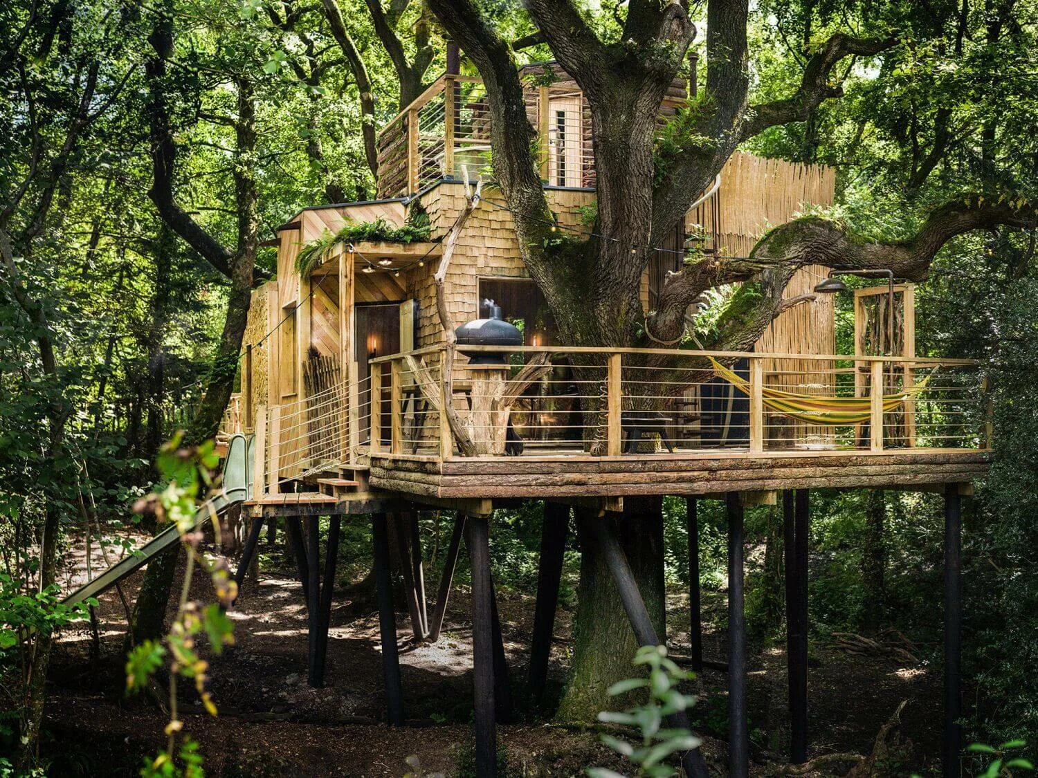 Жилой дом на дереве. Treehouse домик на дереве. Tree House Кишинев. Georgetown Maine дом на дереве. Самые красивые домики на дереве.