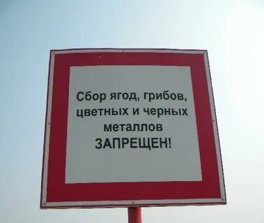 Это все что запрещено