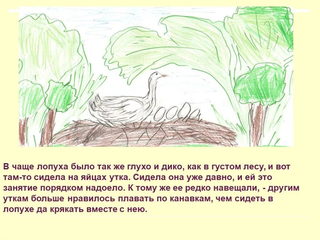 Гадкий утёнок презентация 3 класс. Рисунок к произведению Гадкий утенок. Проект Гадкий утенок 3 класс. В чаще лопуха сидела на яйцах утка.