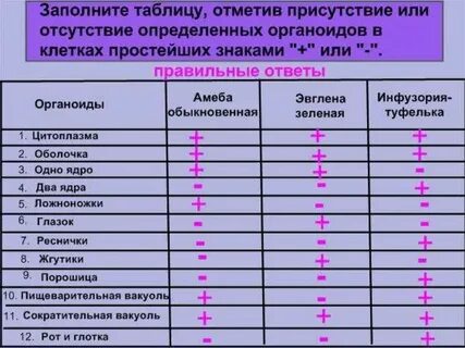 Сходство и различие простейших таблица 7 класс