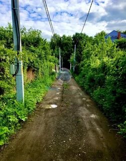 Дубки московская область