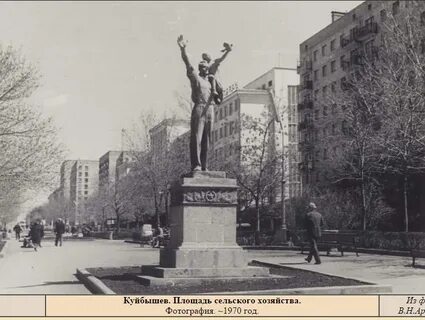 Площадь сельского хозяйства