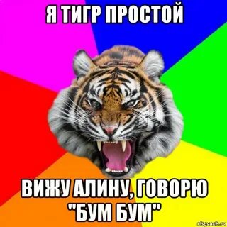 Я тигр