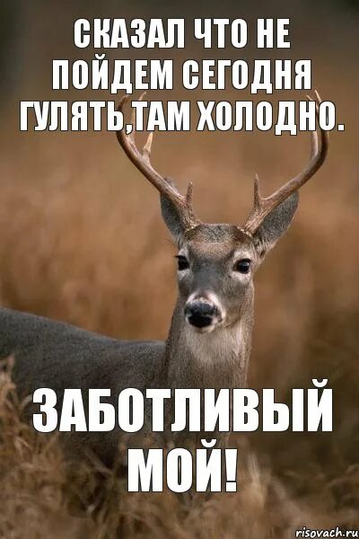 Сейчас гуляем. Пойдем гулять сегодня. сегодня гуляем. там холодно. сегод6я пойдём гулять ?.