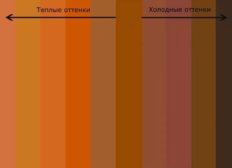 Цвета теплой земли. Теплые оттенки коричневого. теплые и холодные оттенки коричневого. холодный и теплый коричневый цвет. теплые тона коричневого цвета.