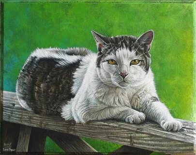 Рис кошкам
