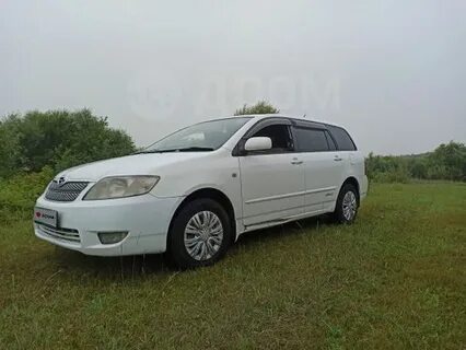 Кузовов чита