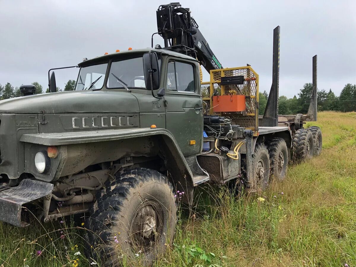 урал 4320 сортиментовоз. бу урал 4320 лесовоз. грузовик урал лесовоз. бу урал 4320 лесовоз. урал 4320 сортиментовоз.