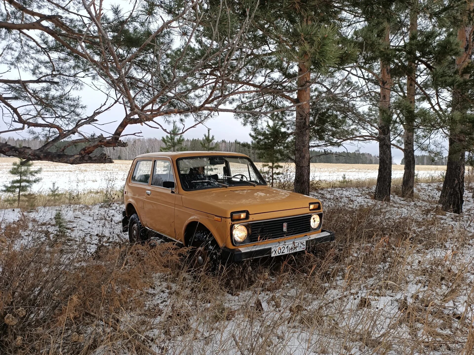 Нива 2121 курганская область. ВАЗ 2121 Нива. ВАЗ 2121 Нива 1977. Советская Нива 2121. Нива ВАЗ 2121 серый.