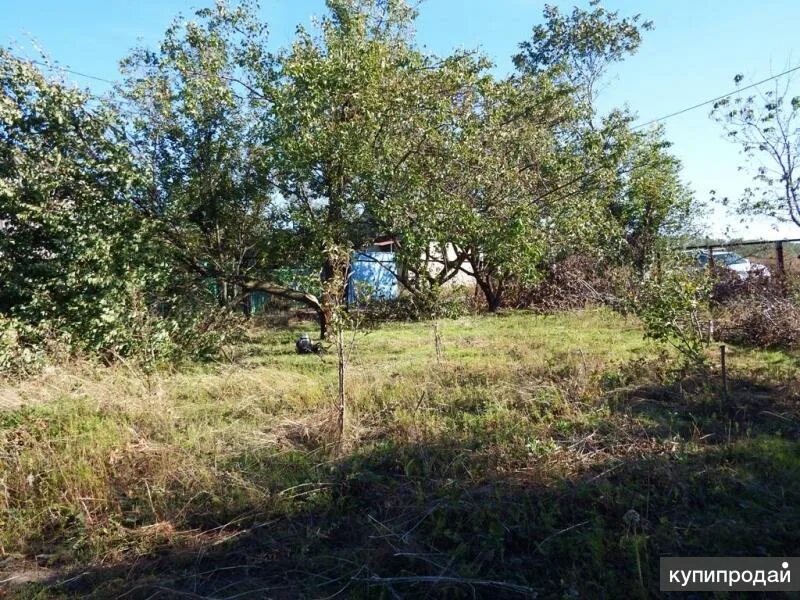 Кострома снт здоровье. Снт труд фото новосибирск. Снт земельный участок. Участок садовый ростовская область. Участок садовый ростовская область.