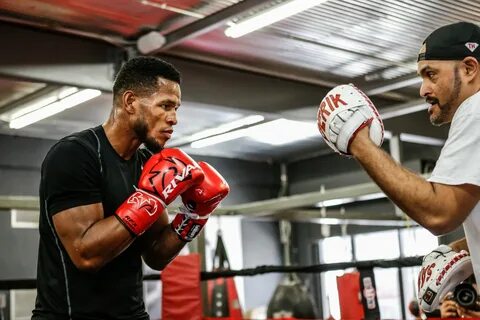 Новости бокса allboxing