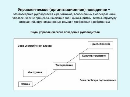 Организационные рамки проекта