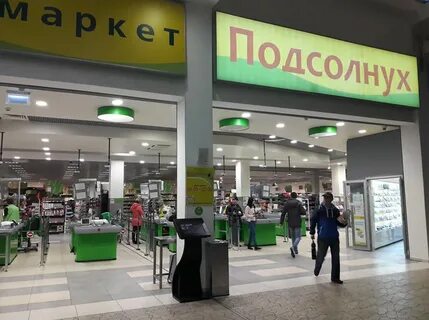 Подсолнух норильск