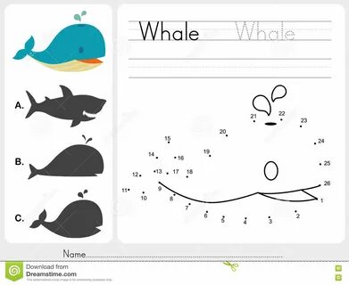 Whale Connect The Dots