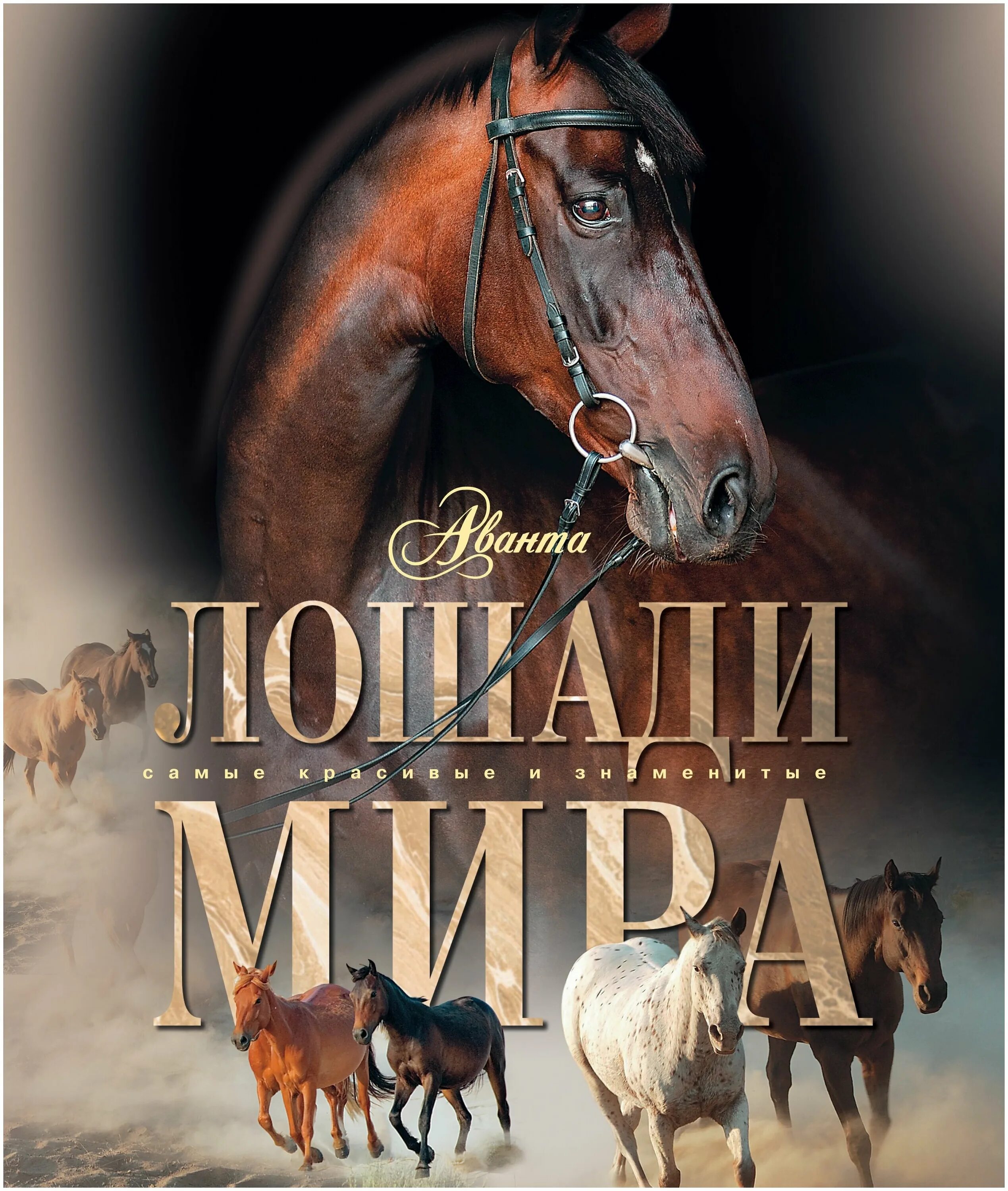 Купить книгу лошади. Книги про лошадей. Лошади: энциклопедия. Книги про лошадей Художественные. Обложка книги с лошадью.