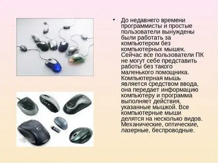 Составьте предложения мыши